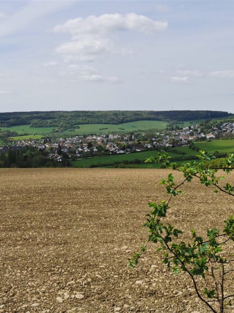 Gräfinthaler Klosterpfad