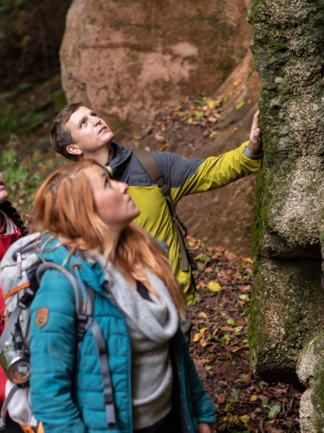 Wanderweg Rund um Dalem