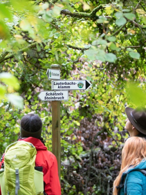 Wanderweg Rund um Dalem