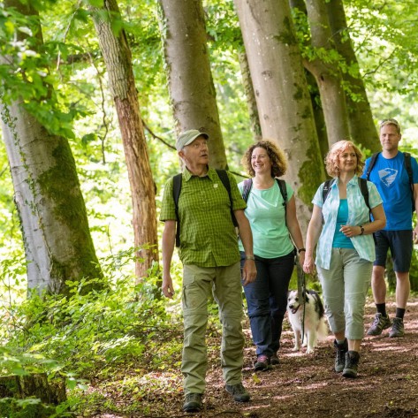 Schornwald Runde